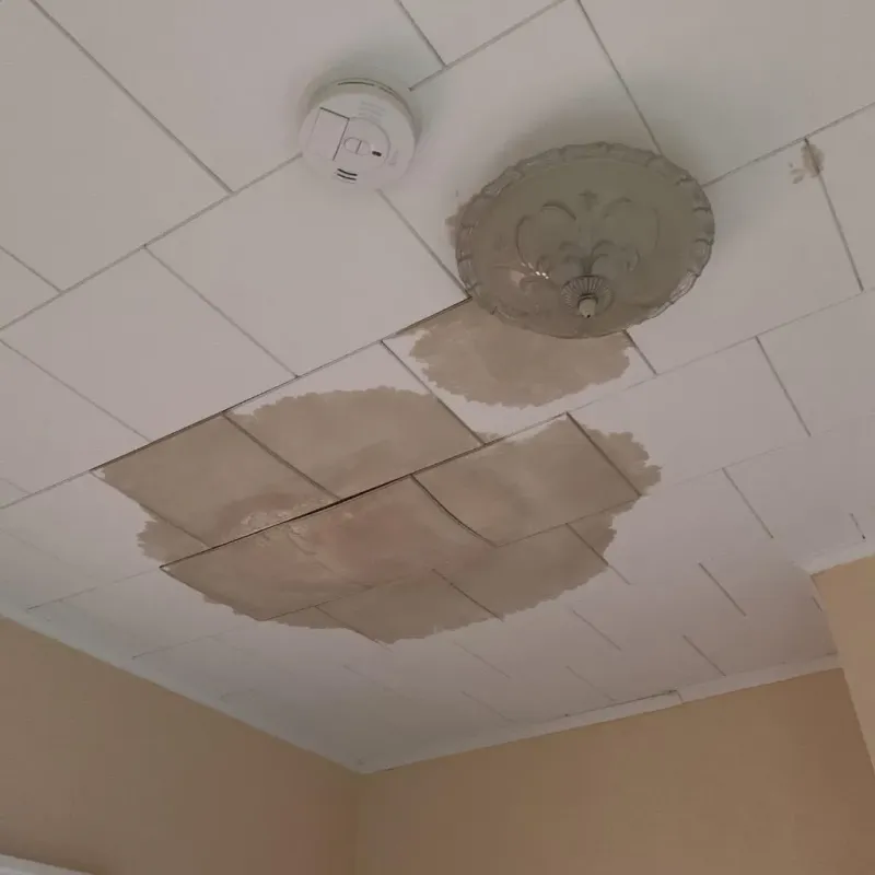 Ceiling Water Damage Repair in Quitman, TX