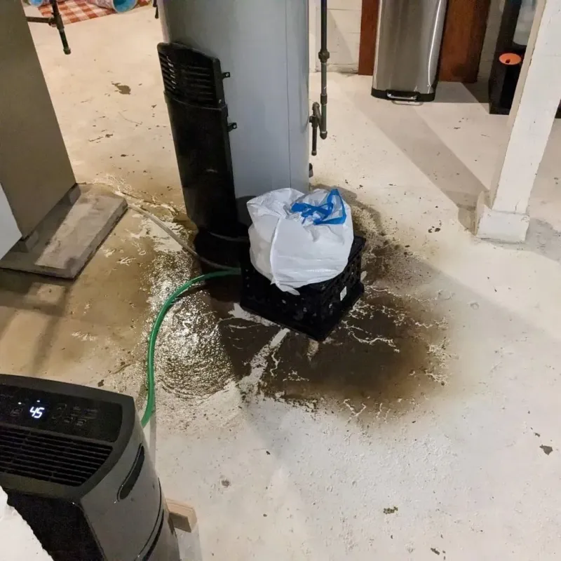 Sewage Backup Cleanup Service in Quitman, TX